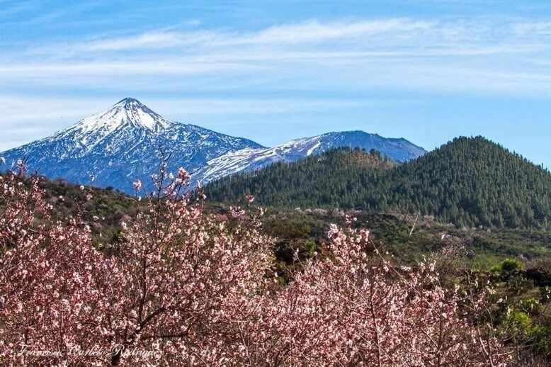 El Paraiso En Los Gigantes Santiago del Teide Exteriér fotografie